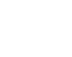 imgi_23_rin.2501211217469