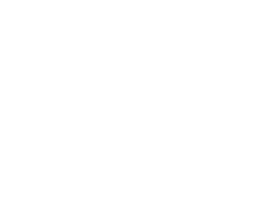 Rinnai