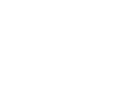 imgi_17_mil.2501021242392